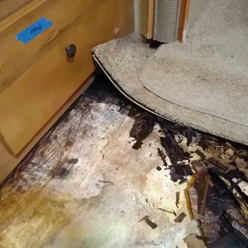 Best Wood Floor Water Damage Service in Hornsby Bend, TX